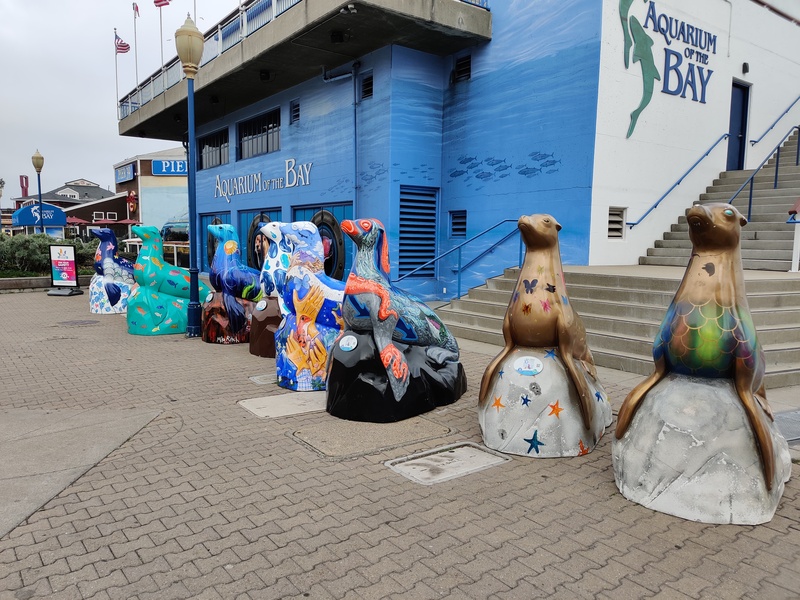 Sea lion sculptures